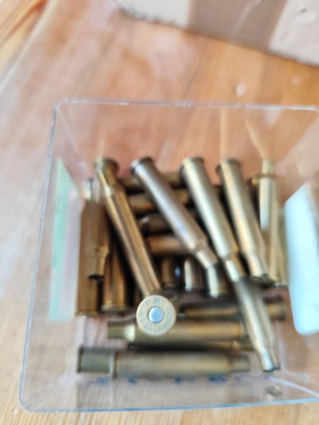 26 Hülsen Rws 5,6x50R Magnum gezündert – Bild 1