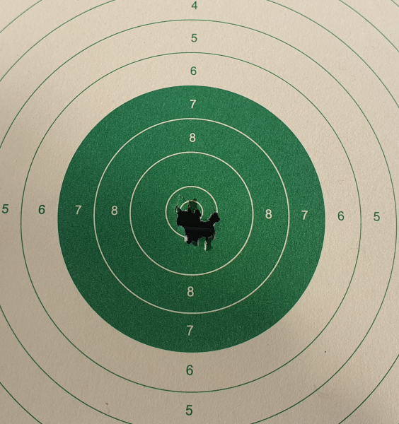 Diana P1000 Pressluftgewehr 5,5mm mit Hawke ZF + SCHALLDÄMPFER – Bild 3