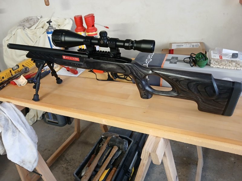 Ruger 10/22 Lite mit langer Schiene und Zubehör – Bild 1