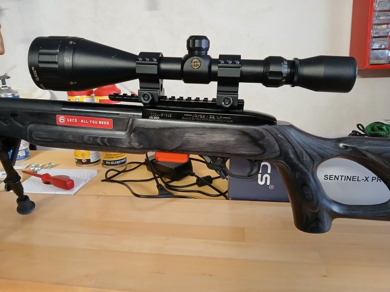 Ruger 10/22 Lite mit langer Schiene und Zubehör – Bild 3