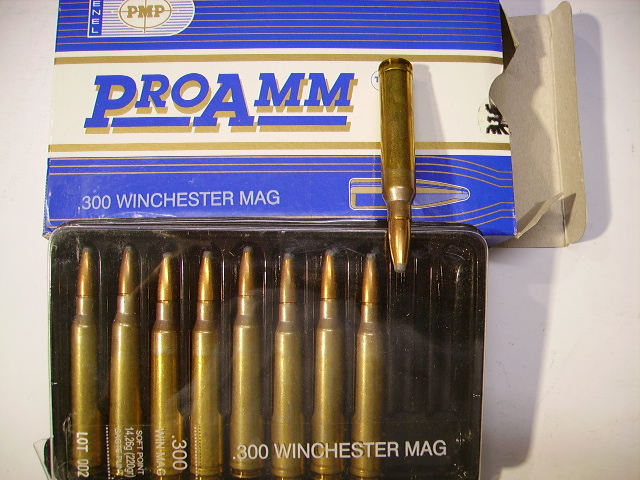 19 Stck .300Win Mag Patronen – Bild 1