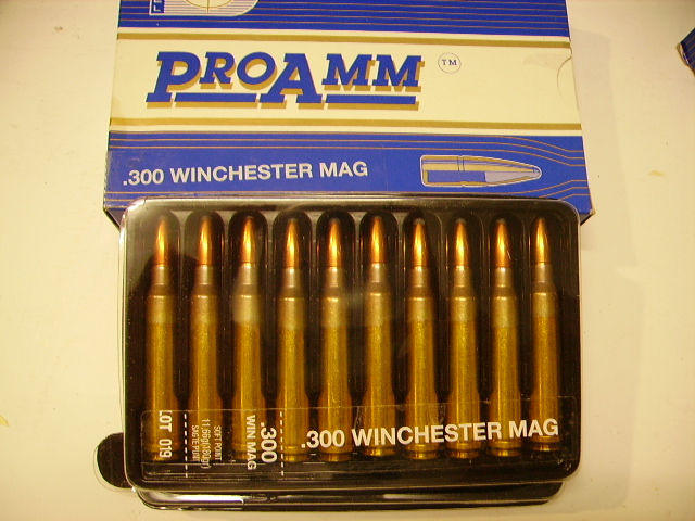 20 Stck .300Win Mag Patronen – Bild 1