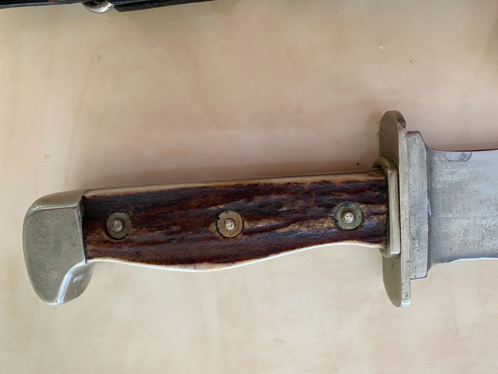 Hirschhorn Waidblatt und Jagdnicker – billede 3