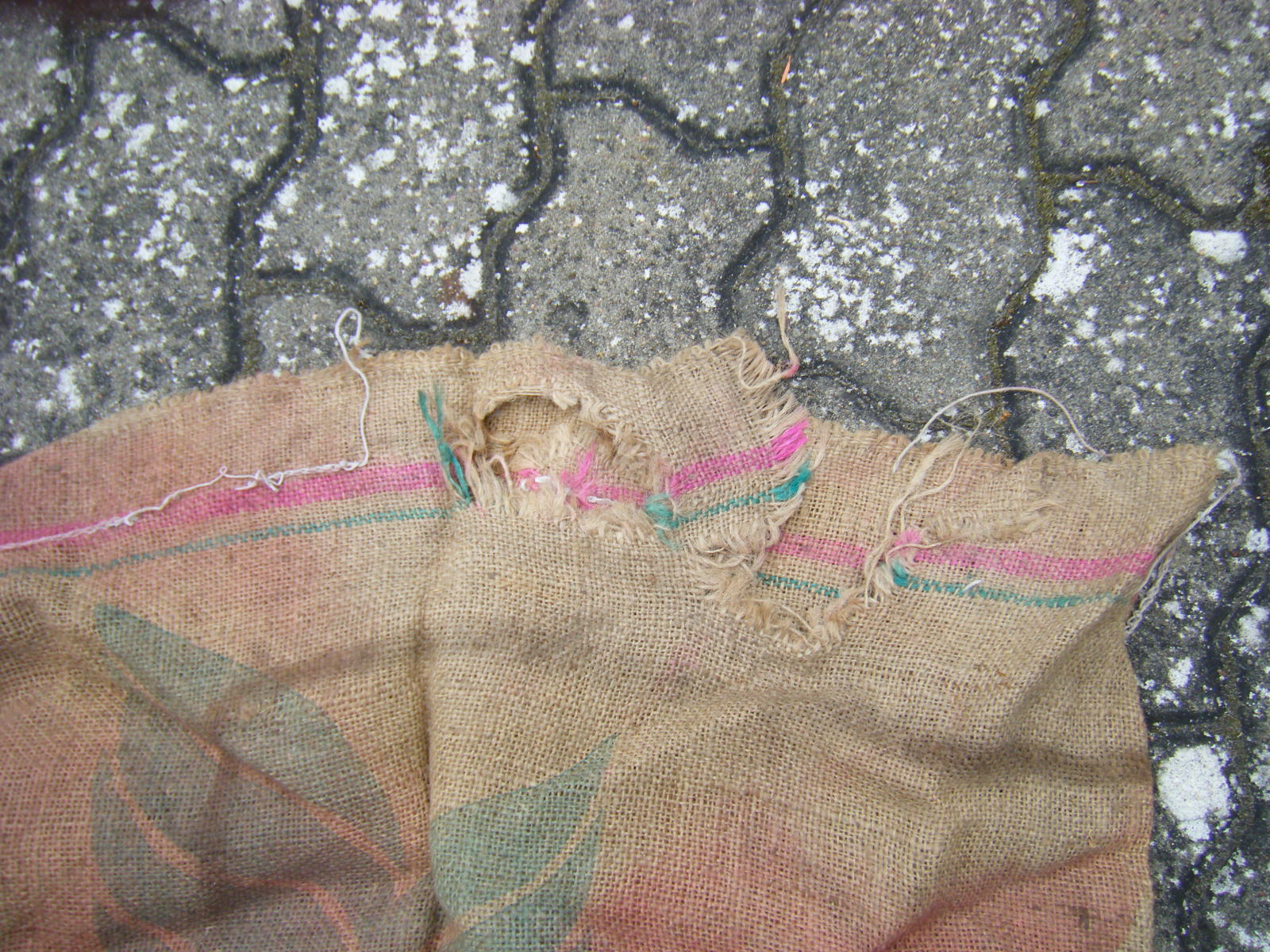 Kaffee Sack, alt – billede 2