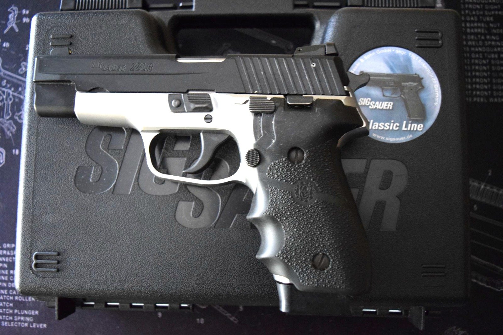 SIG Sauer 22 lr Stahlausführung – Bild 1