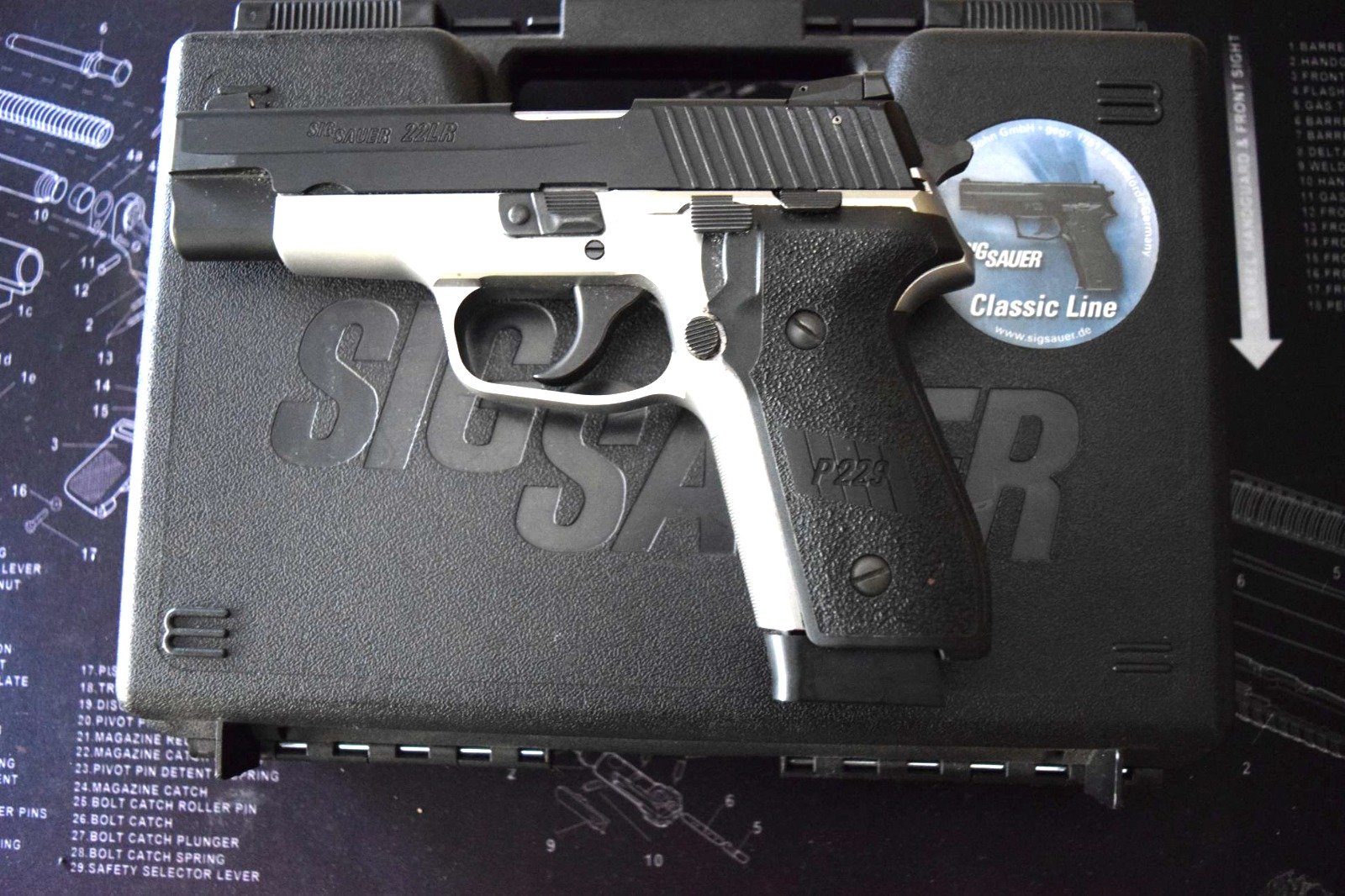 SIG Sauer 22 lr Stahlausführung – Bild 1