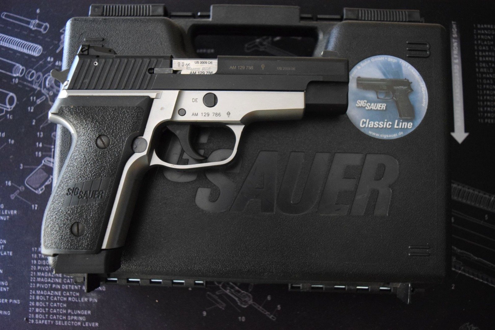 SIG Sauer 22 lr Stahlausführung – Bild 2