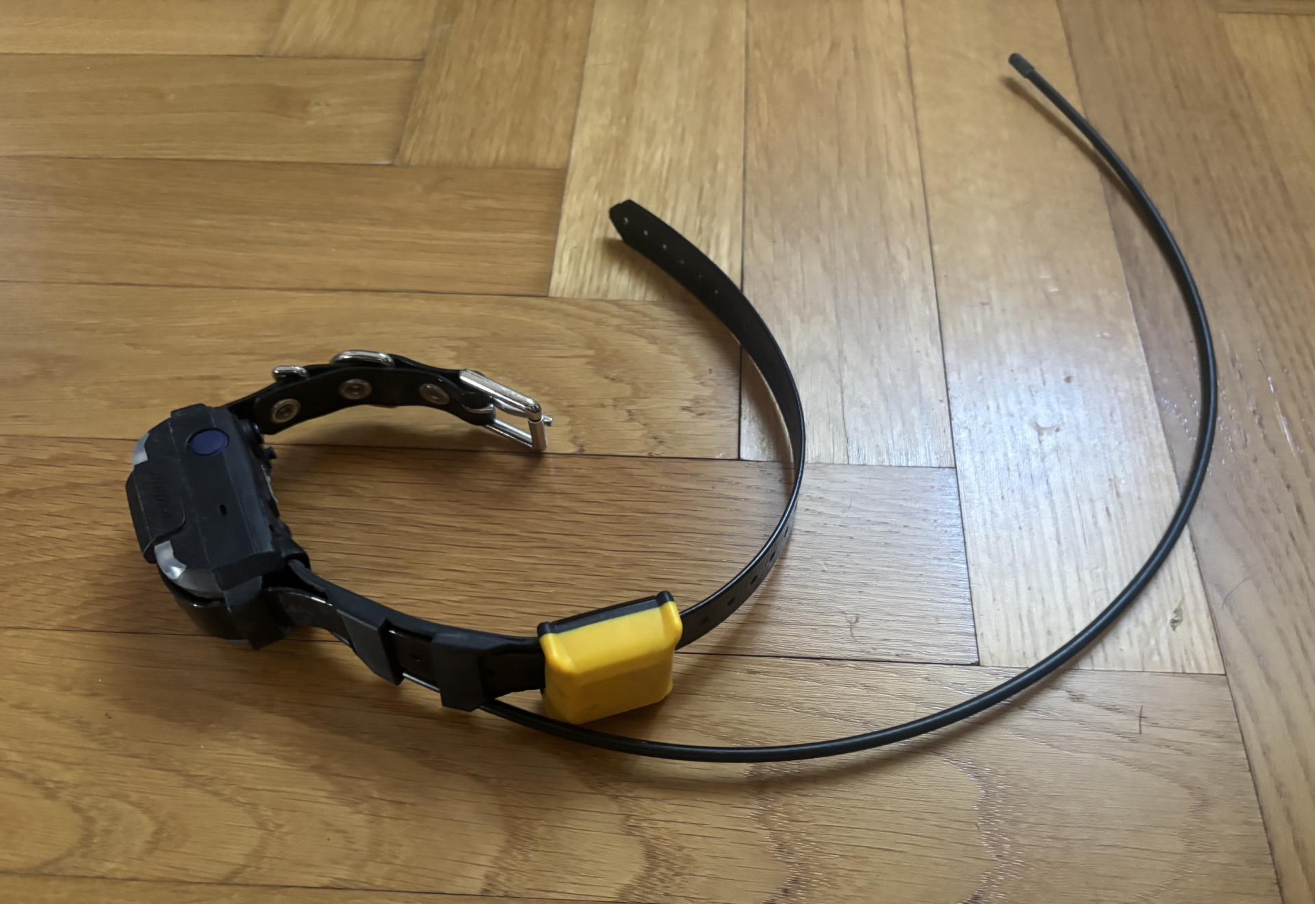 Hundeortung DOGTRA Pathfinder II – Bild 2
