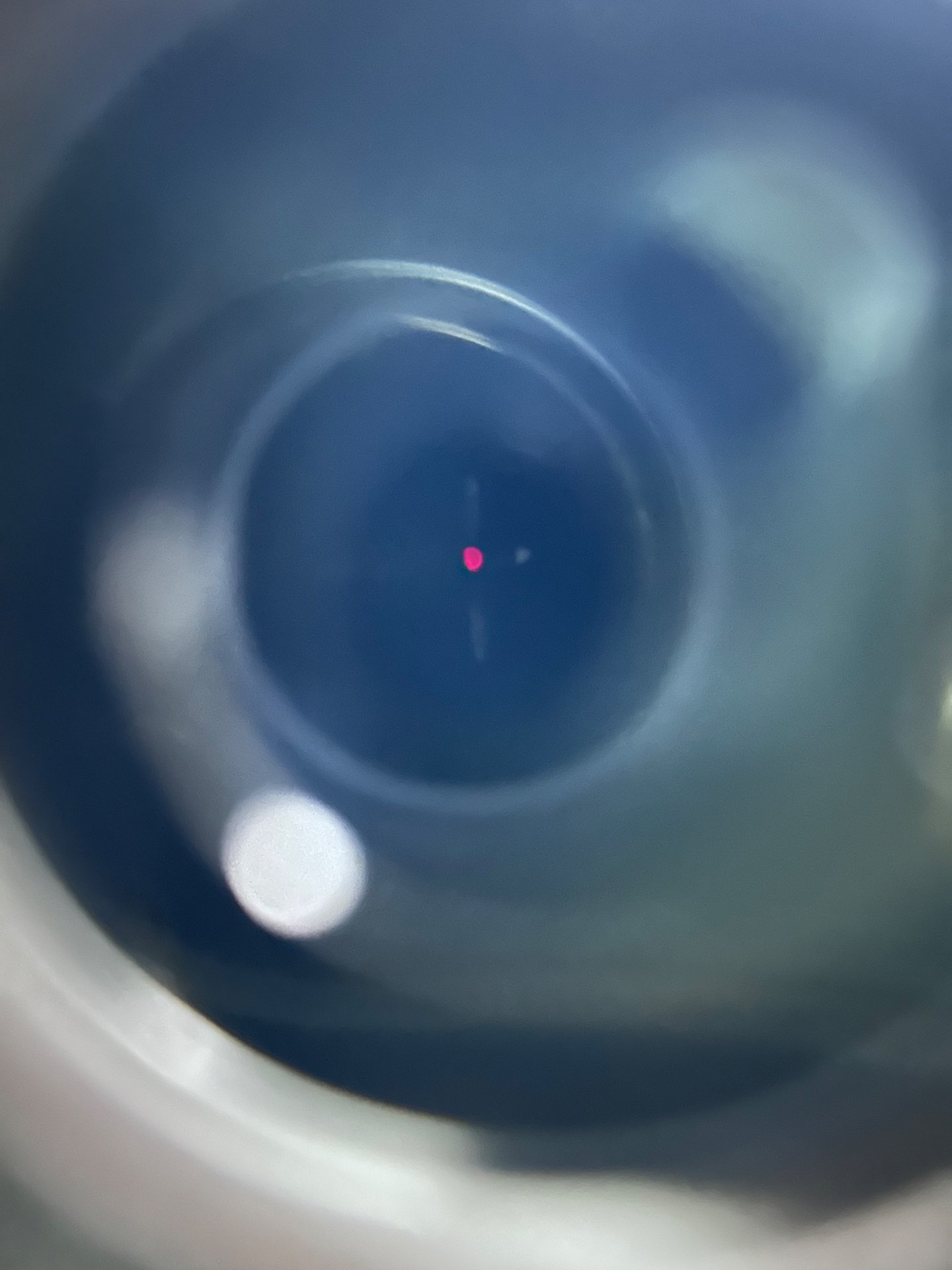 Schmidt und Bender Zielfernrohr Meopta Zeiss Swarovski Optik Kahles – Bild 4