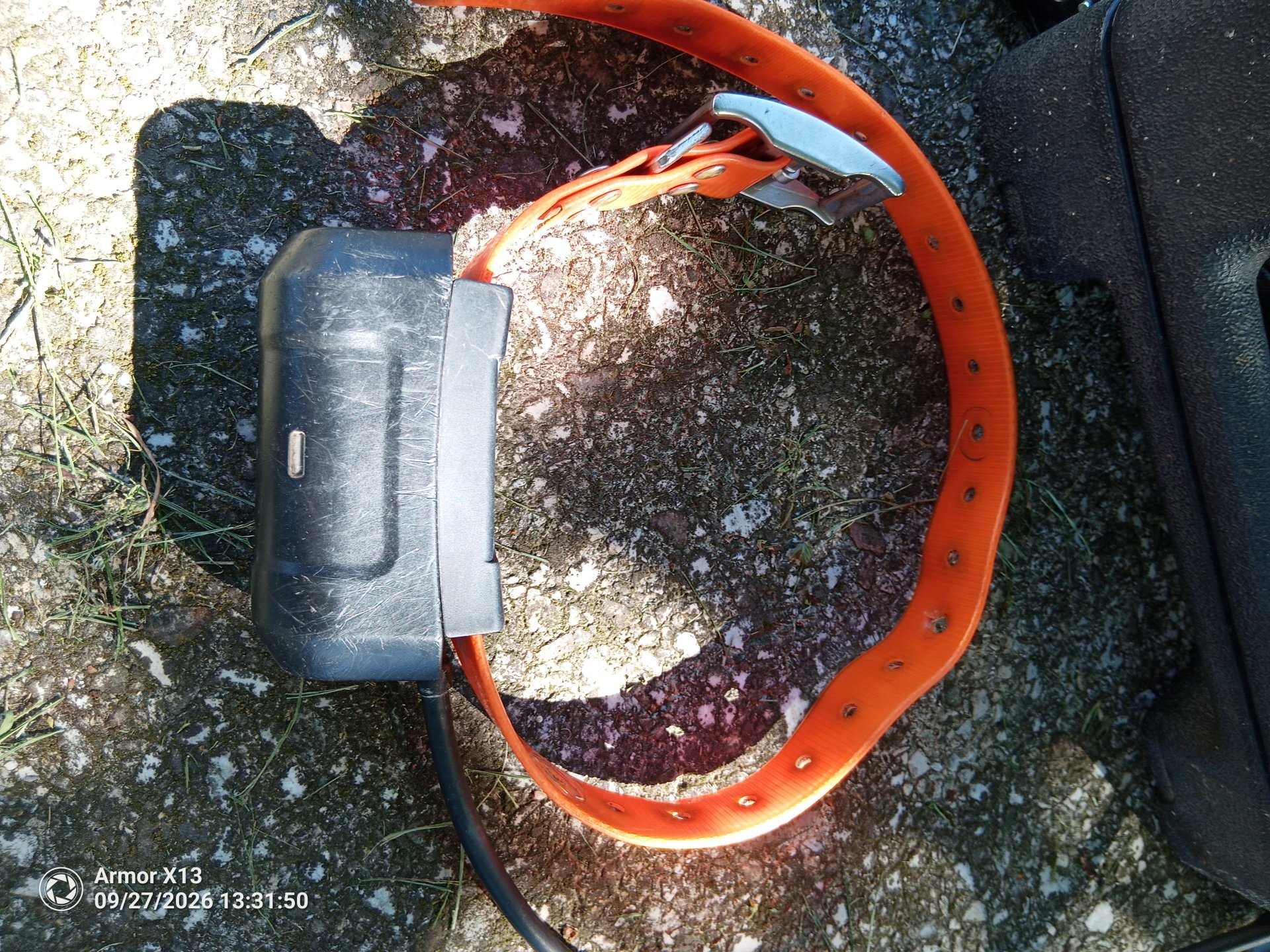 Garmin Astro 320 Halsband DC40 – Bild 3
