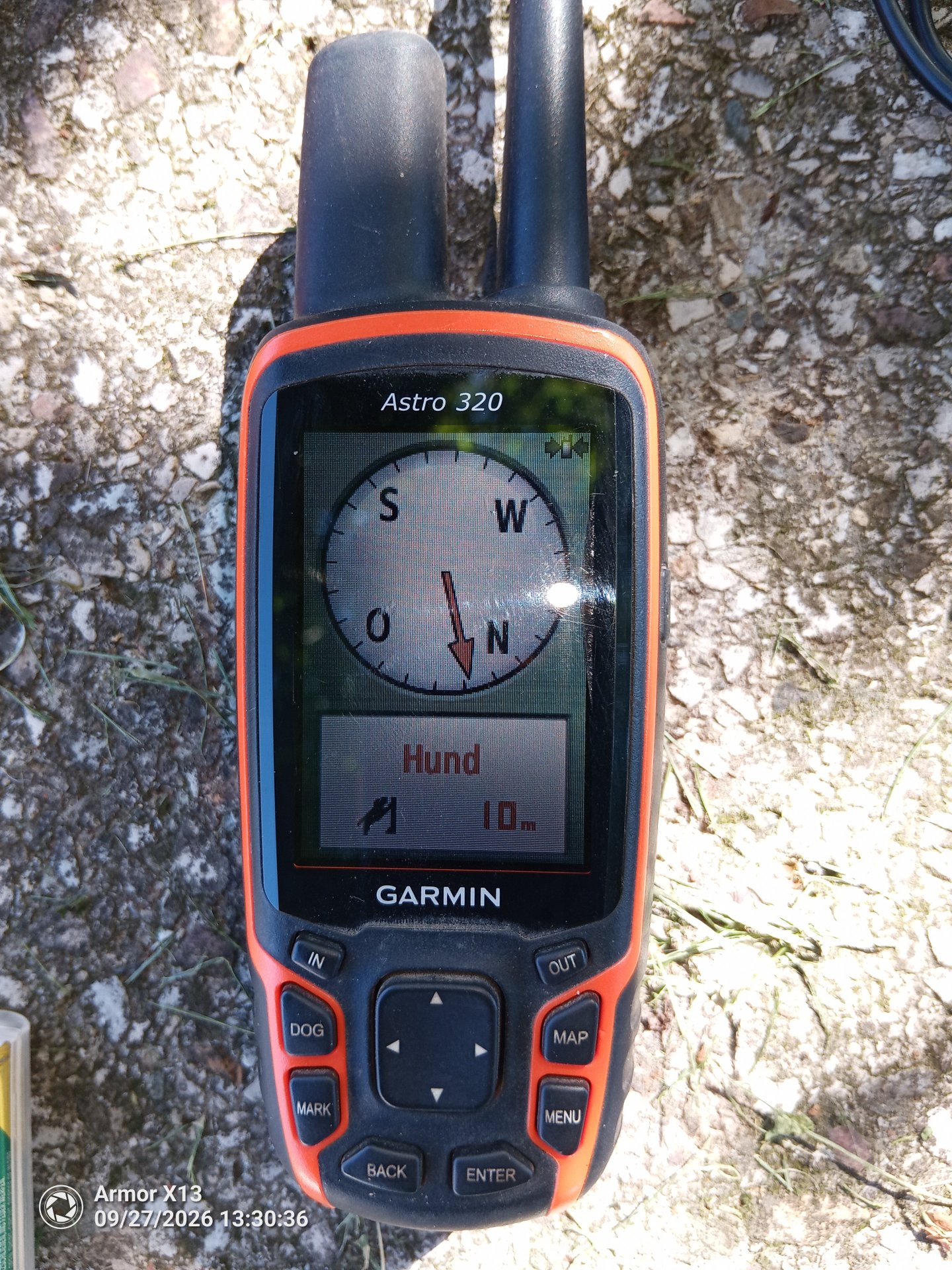 Garmin Astro 320 Halsband DC40 – Bild 2
