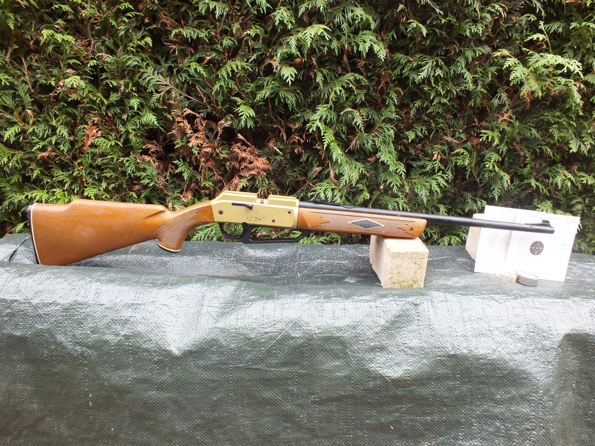 L7uftgewehr Daisy Powerline 880 – Bild 2
