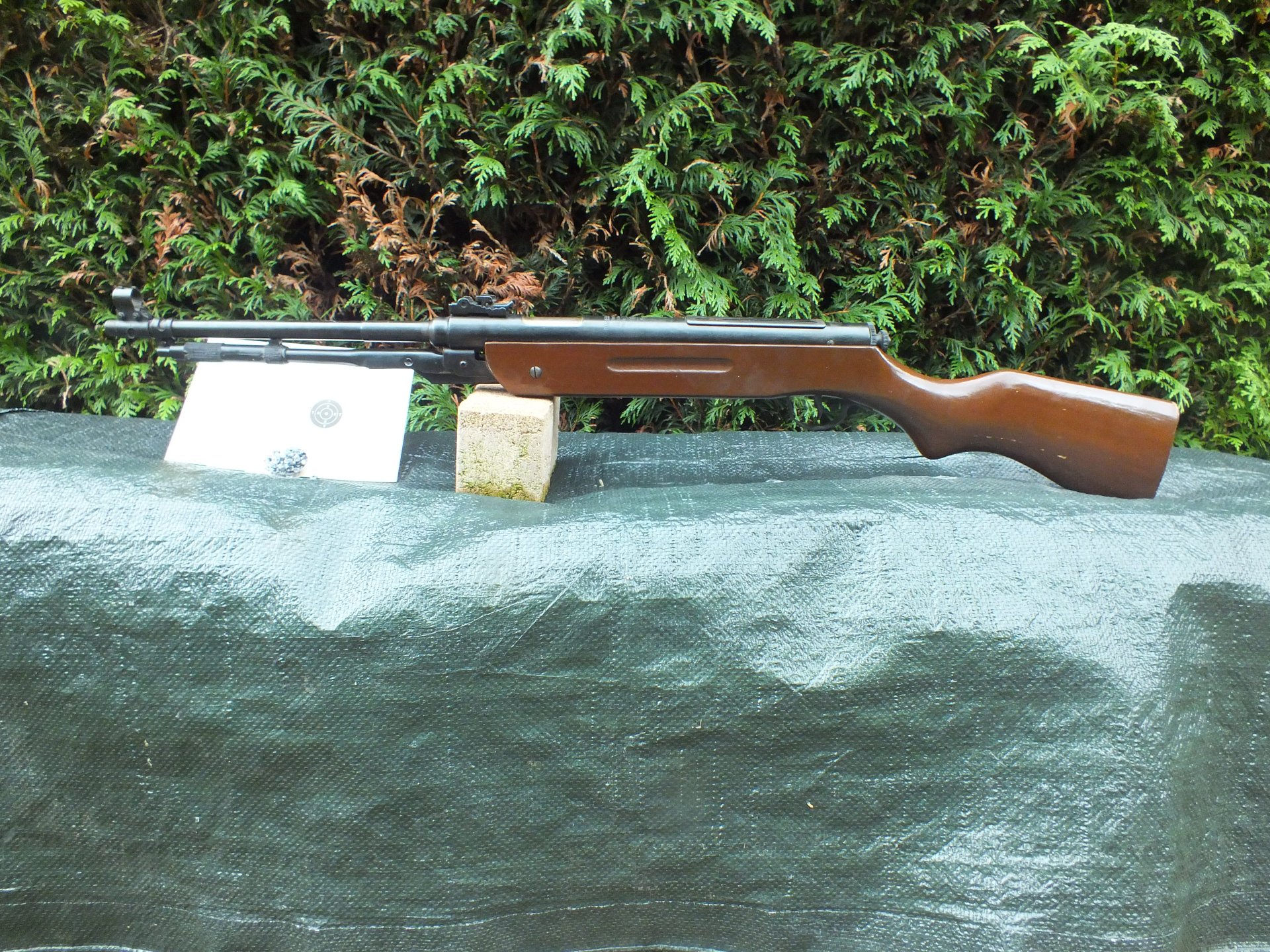 Luftgewehr Unterhebelspanner Modell 65- I, ansehen – Bild 1