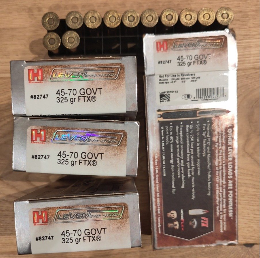 102 Schuss 45/70 Gov. - Hornady Lever Evolution 325 grs FTX + Federal 300 grs – Bild 2