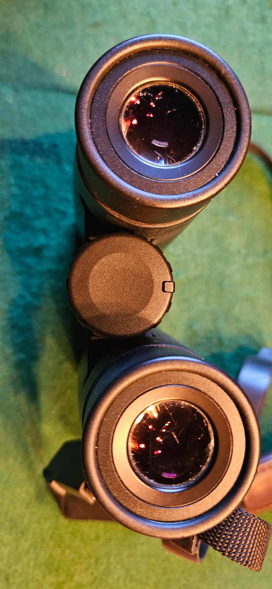 Zeiss Fernglas Conquest 8x40 B T* – Bild 3