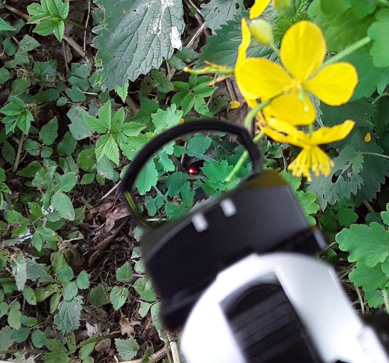 Tanfoglio Stock ll mit OR mit Vortex Venom – Bild 4