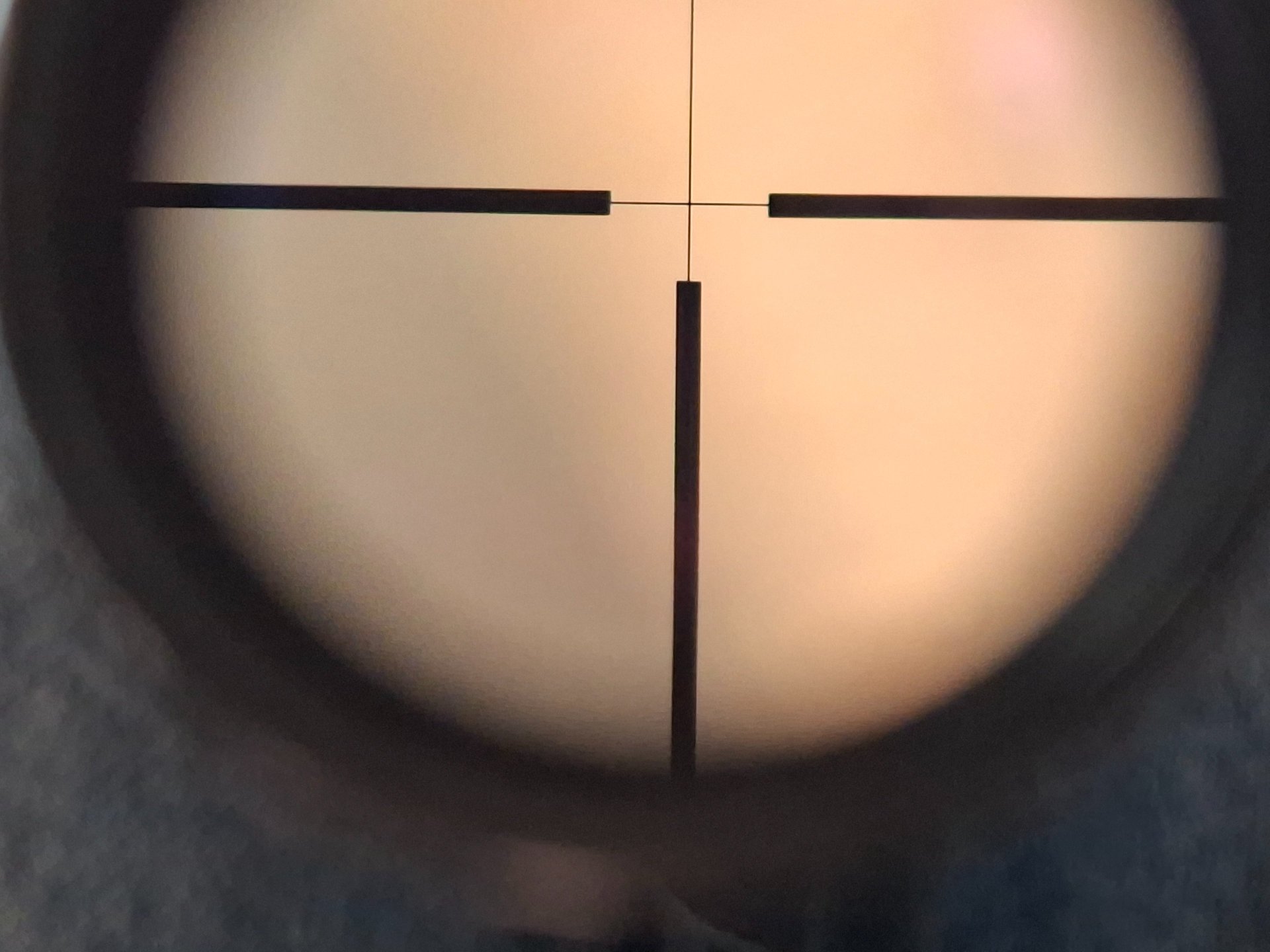 Docter 8x56 M aspherical – Bild 5