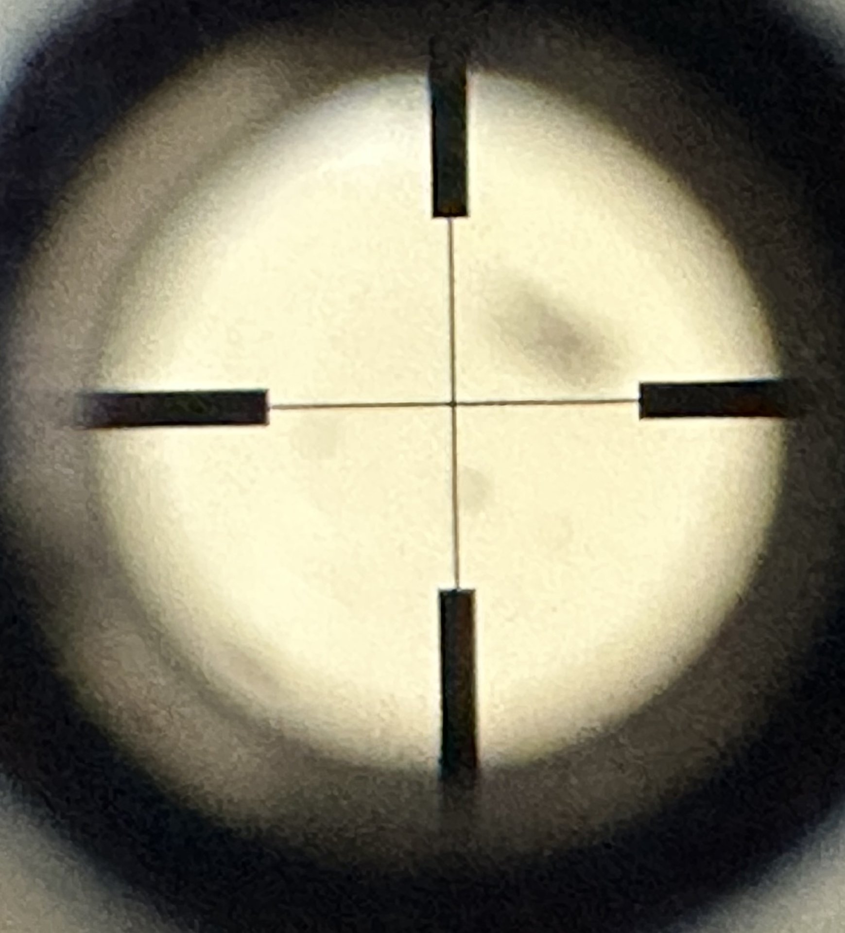 Zielfernrohr Zeiss Diavari VM 2,5-10x50 T* – Bild 4
