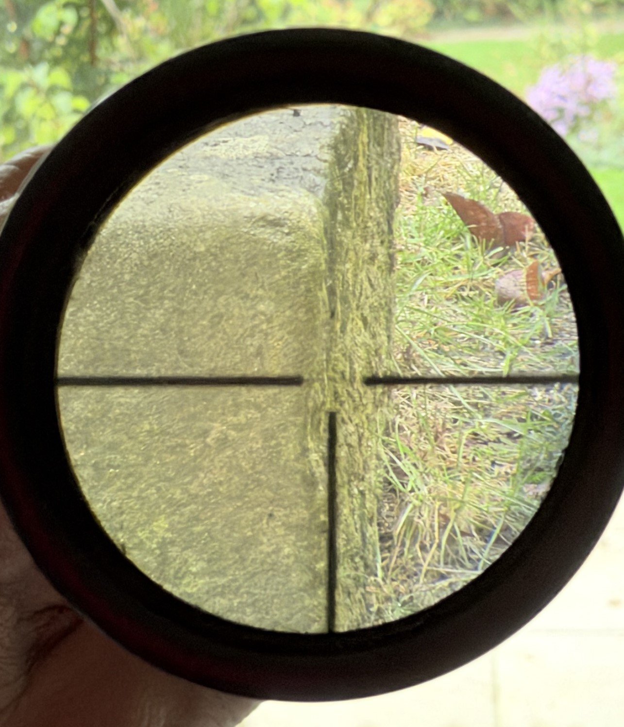 Zielfernrohr Zeiss Diavari-Z 1,5-6x42 – Bild 5