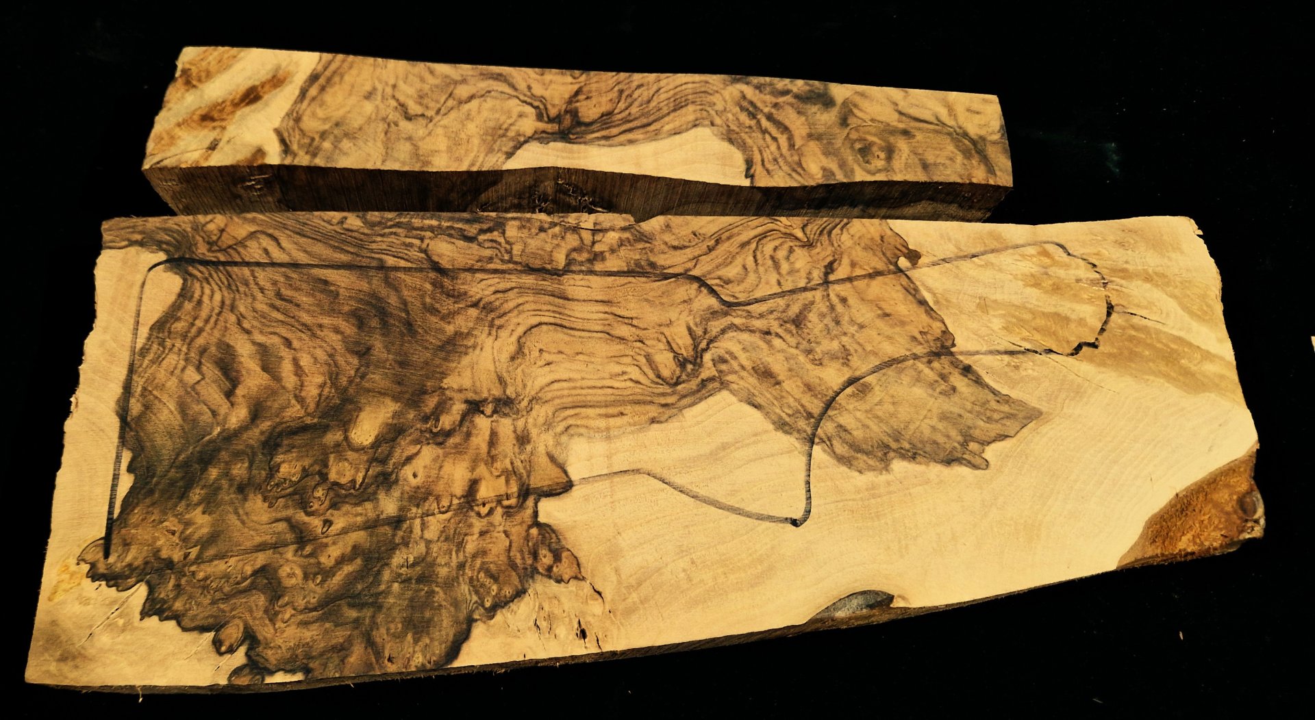 !!!Schäftholz-Ausstellungsklasse-Nicht dampfgetrocknet! – Bild 3