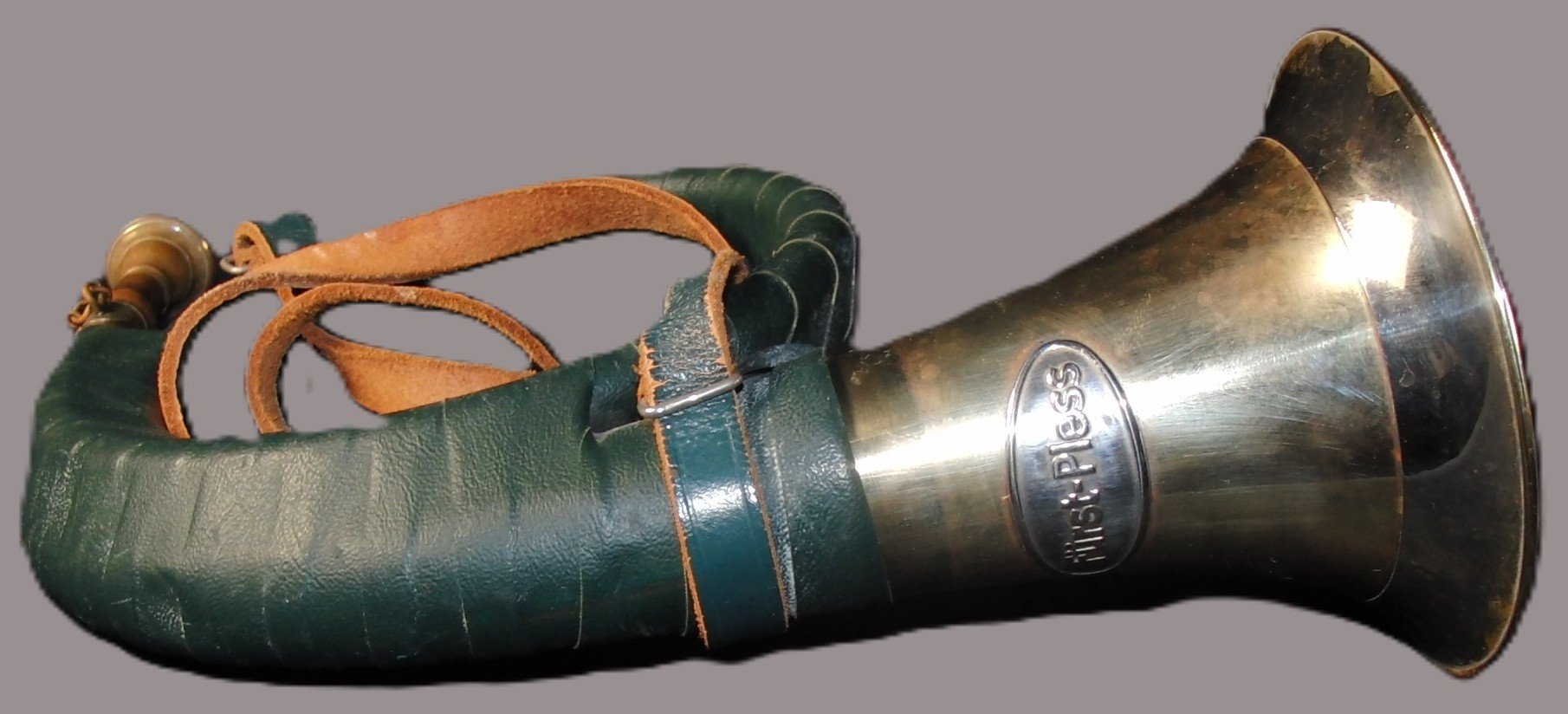 Fürst Pless Horn – Bild 3