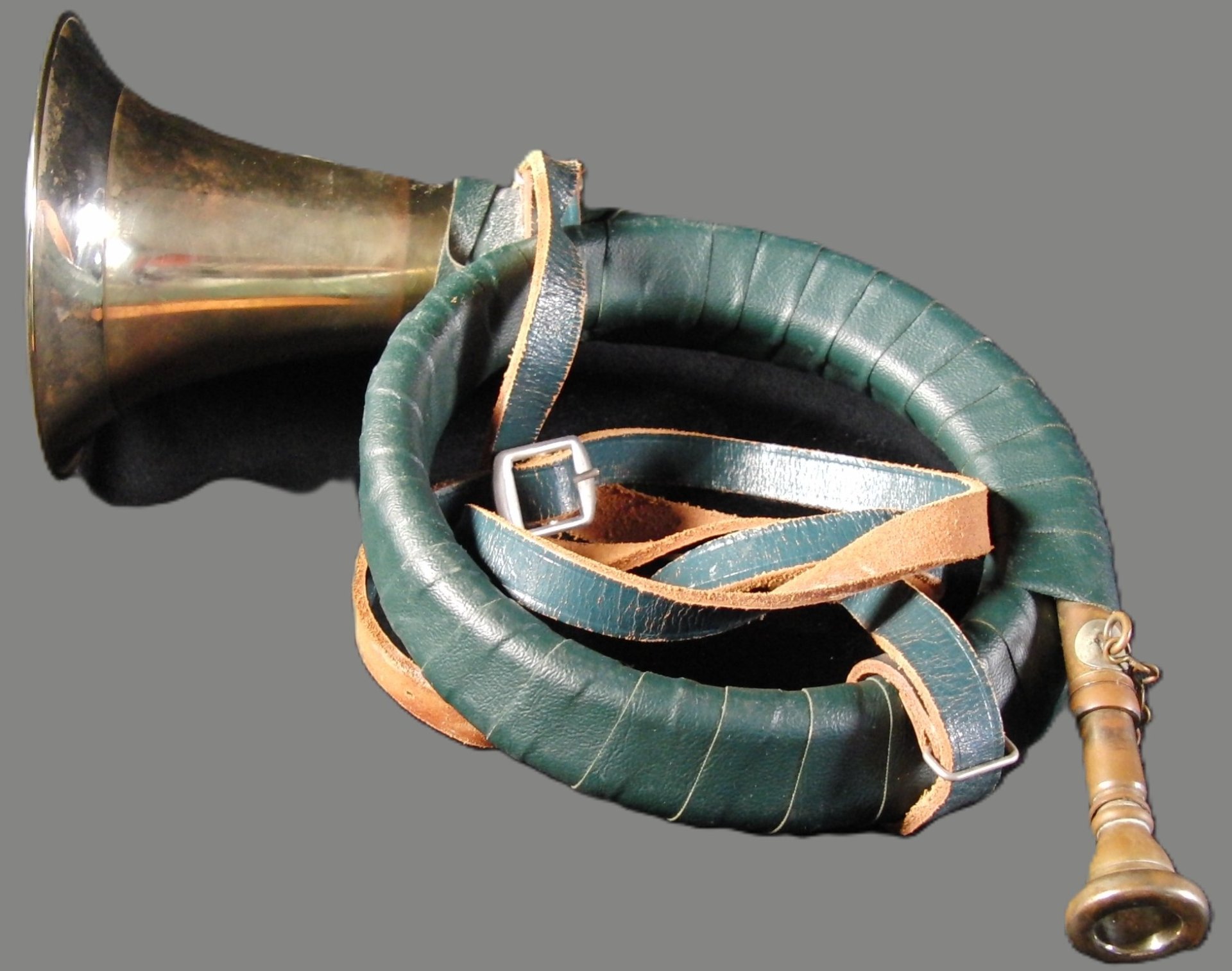 Fürst Pless Horn – Bild 2