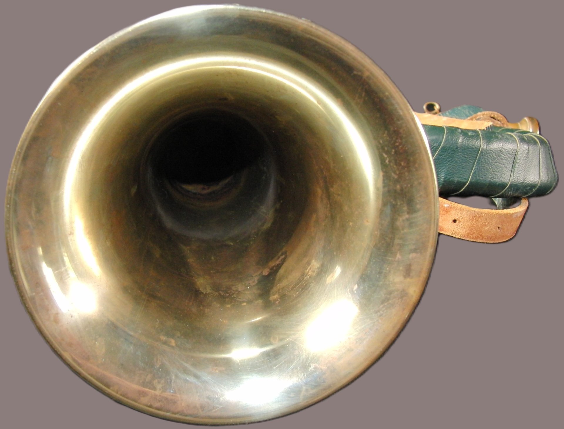 Fürst Pless Horn – Bild 4