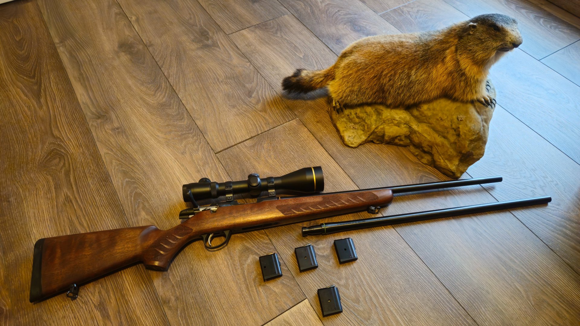 Sako Quad Hunter .17HMR und .22 lfb – Bild 1
