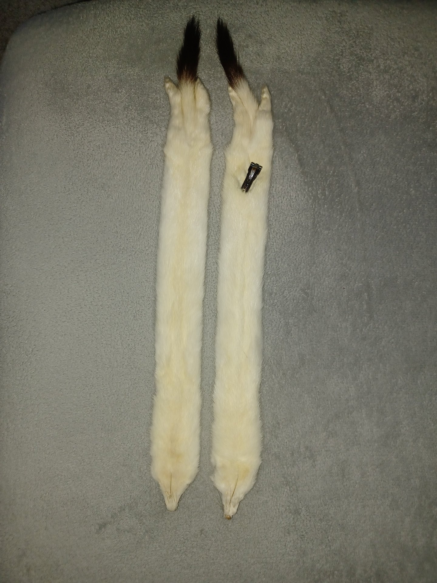 Nerzfelle, Fell, Felle Nerz, Trapper, – Bild 2