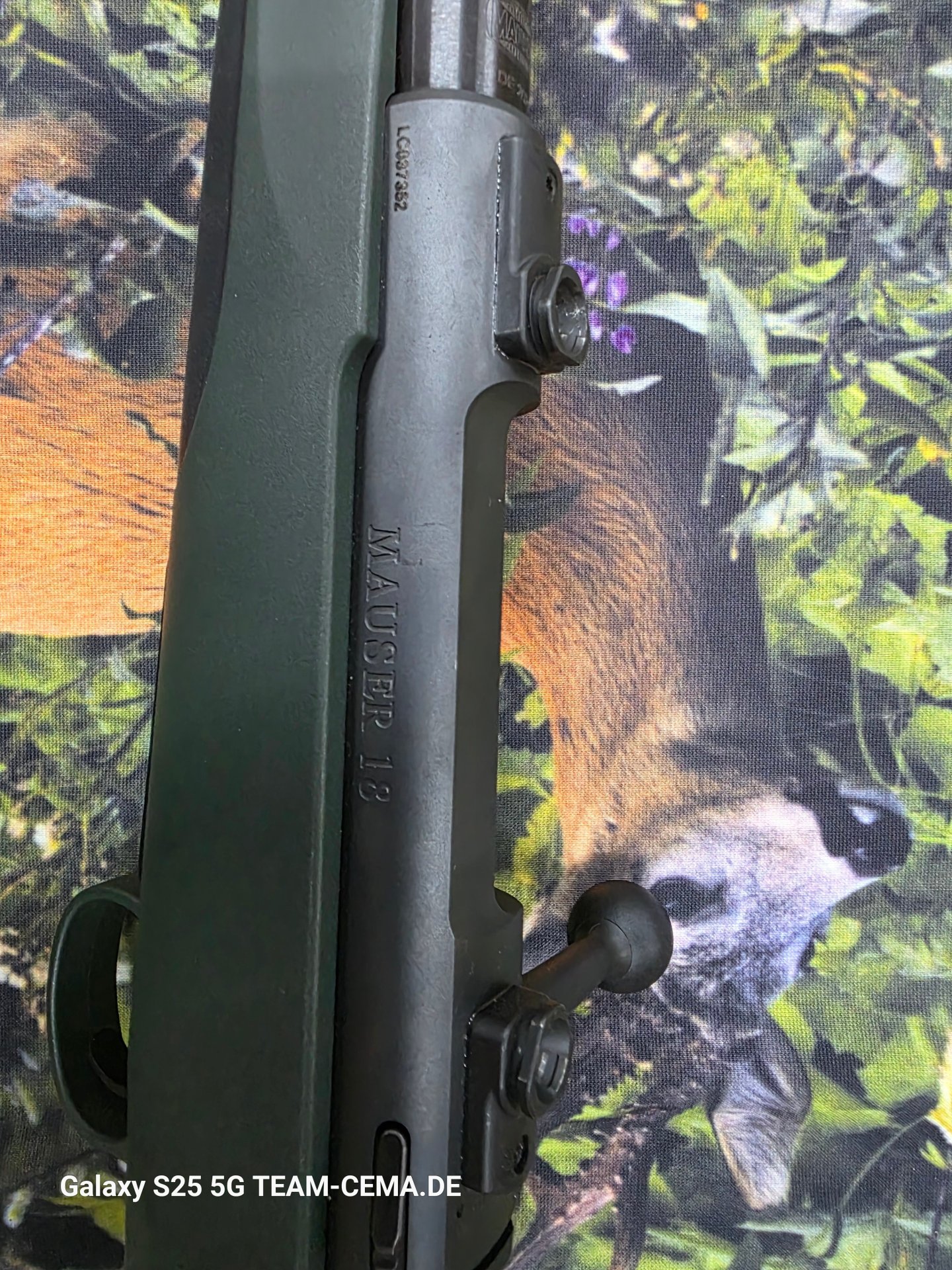 Mauser M 18 , cal. 8x57 is, semiweight 51 cm LL, M18x1, gebraucht – Bild 3