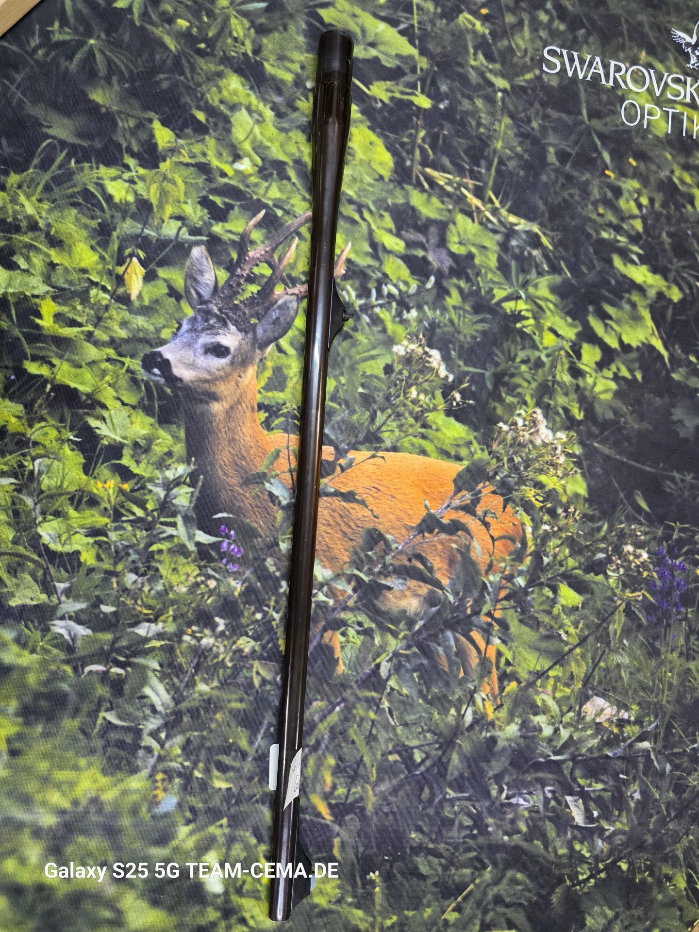 Sauer & Sohn S 202 Wechsellauf ATL, cal. 270 Win . LL 60 cm, gebraucht – Bild 2