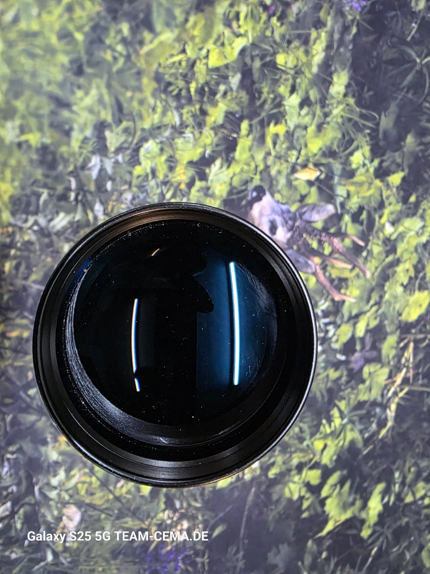 Swarovski Habicht ZF 2,5 -10 x 56 LA 50 mit Punkt, mit Oberteilen HEXALOCK, gebraucht – Bild 3