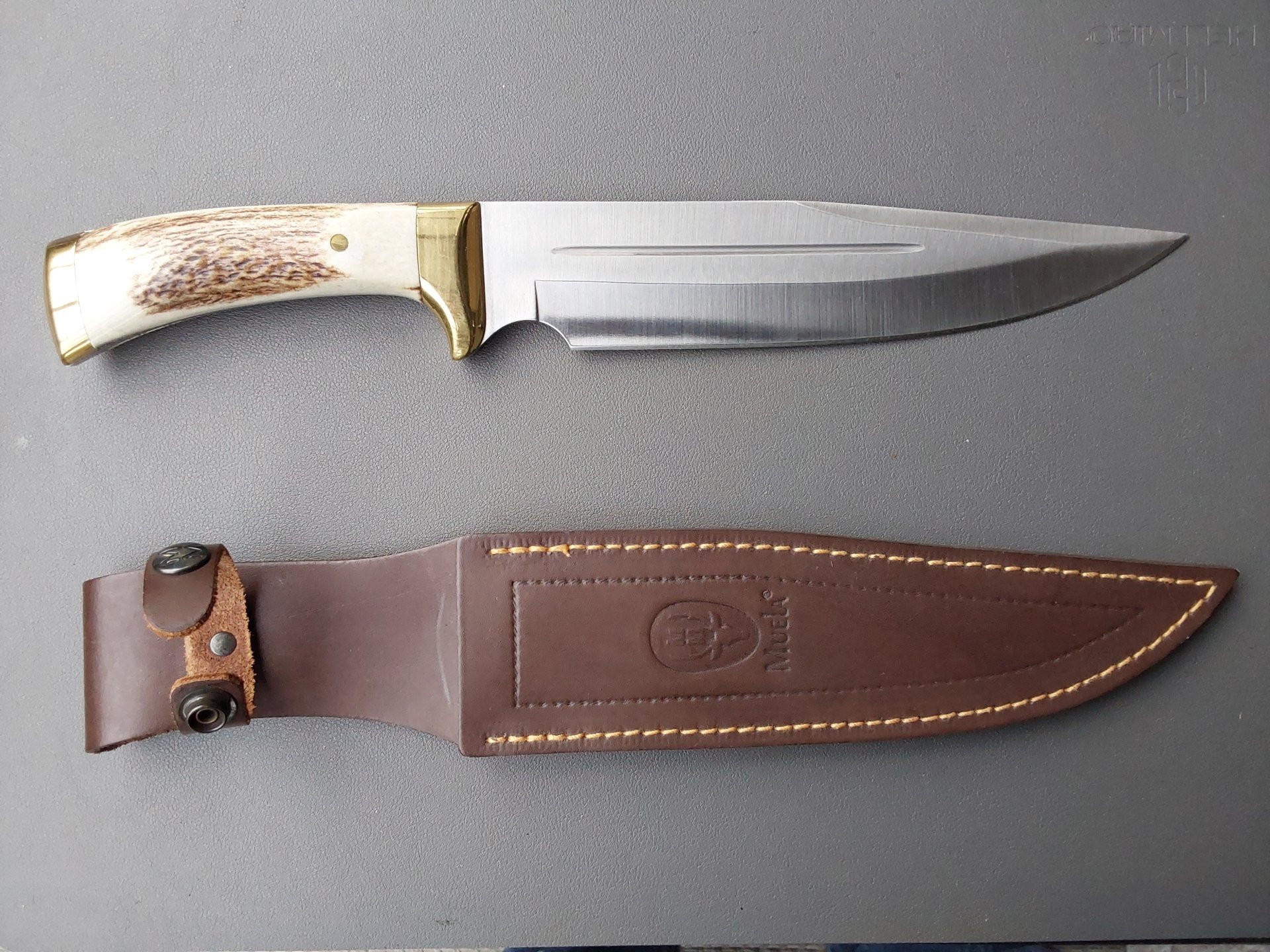 Jagdmesser Muela Jabali – Bild 2