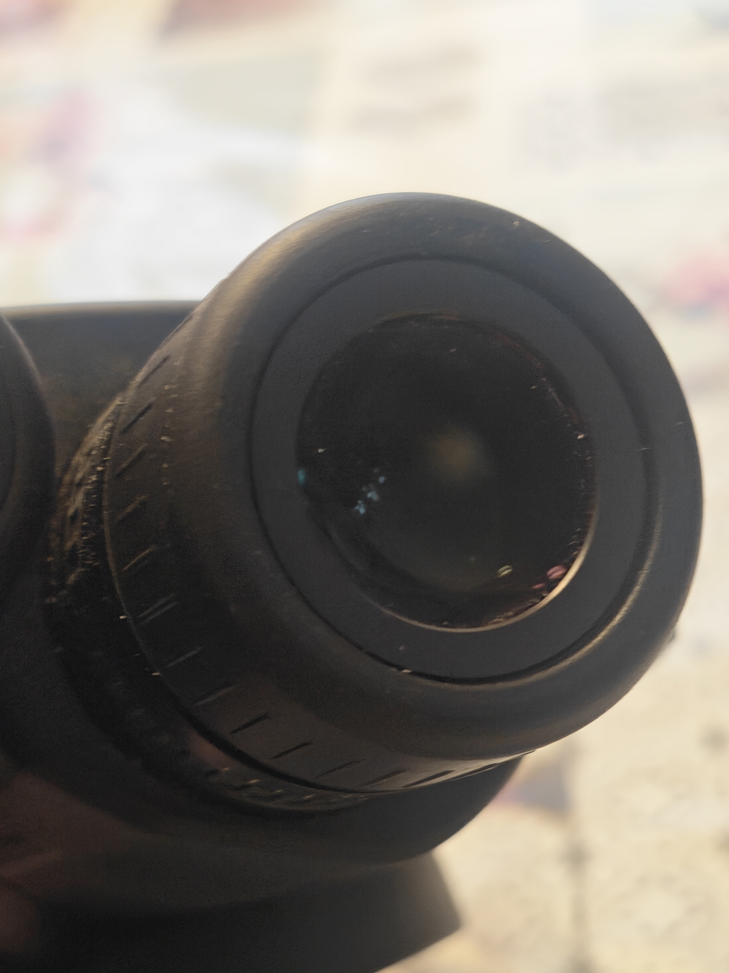 Leica Geovid 8x56 R mit Entfernungsmesser – Bild 4