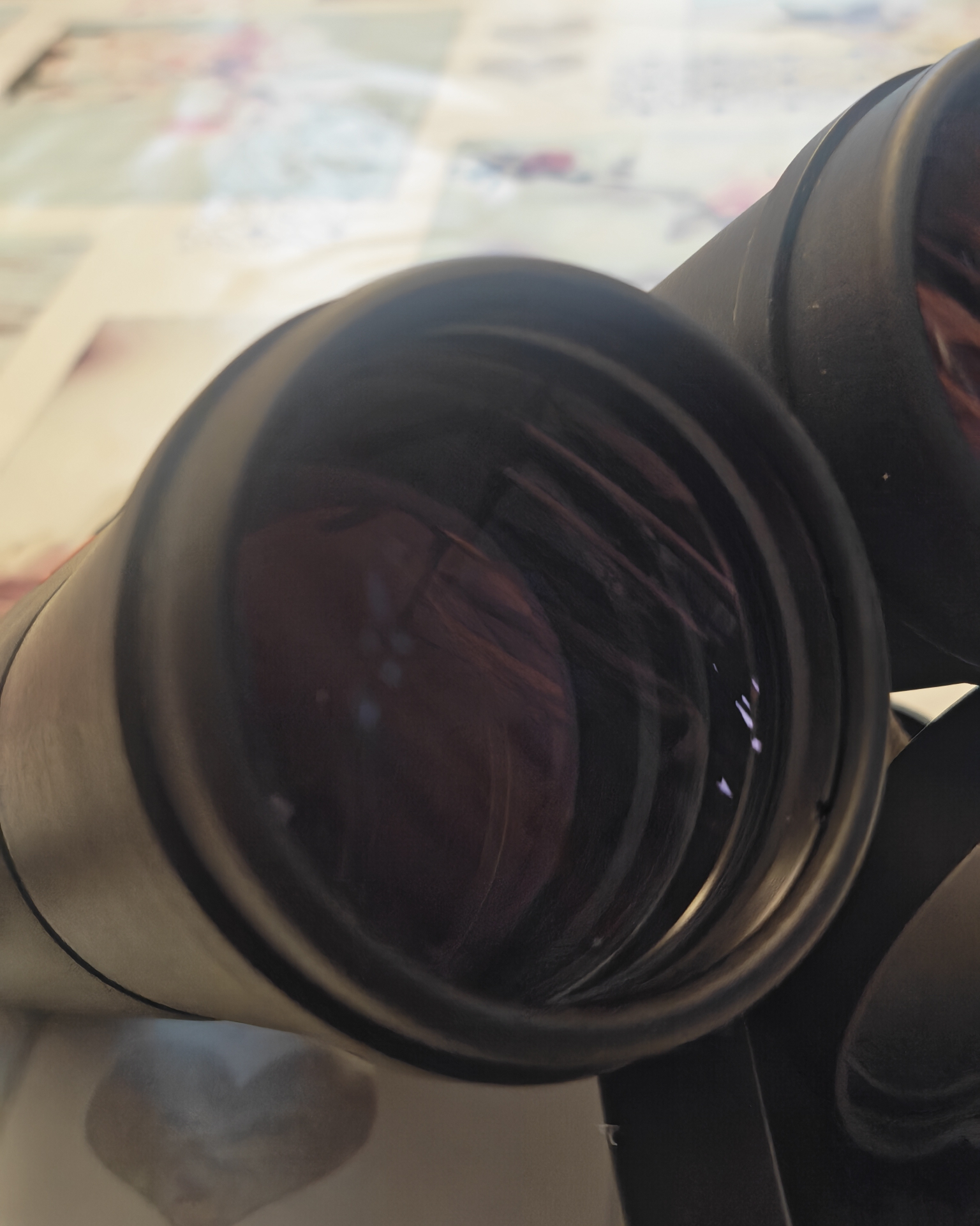Leica Geovid 8x56 R mit Entfernungsmesser – Bild 6
