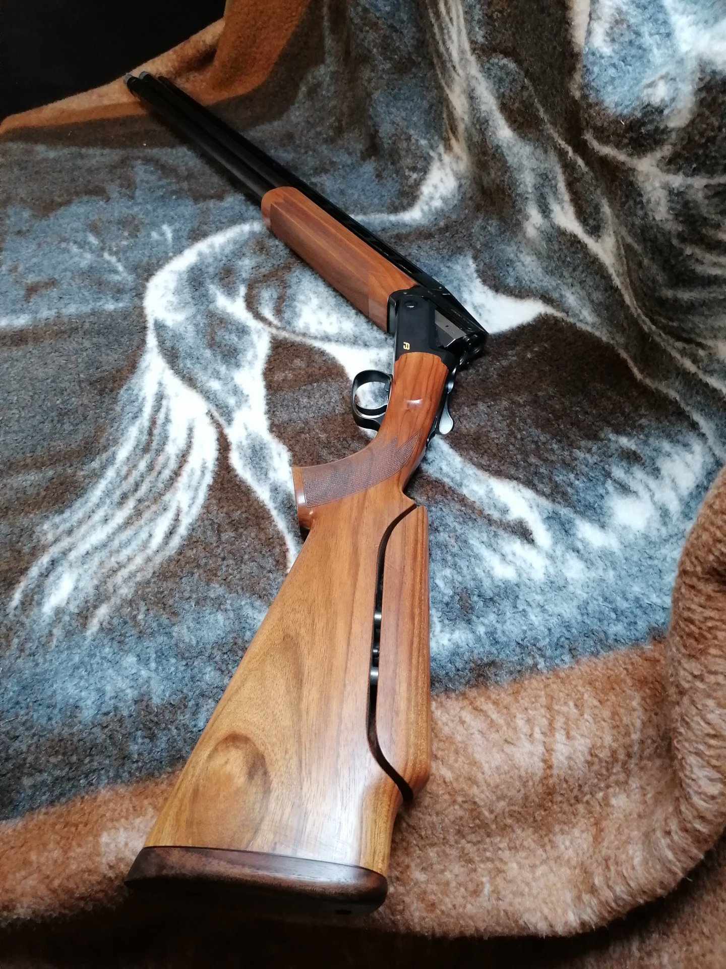 Blaser F3 Supersport | 12/76 | Verstärkter Stahlschrotbeschuss – Bild 1