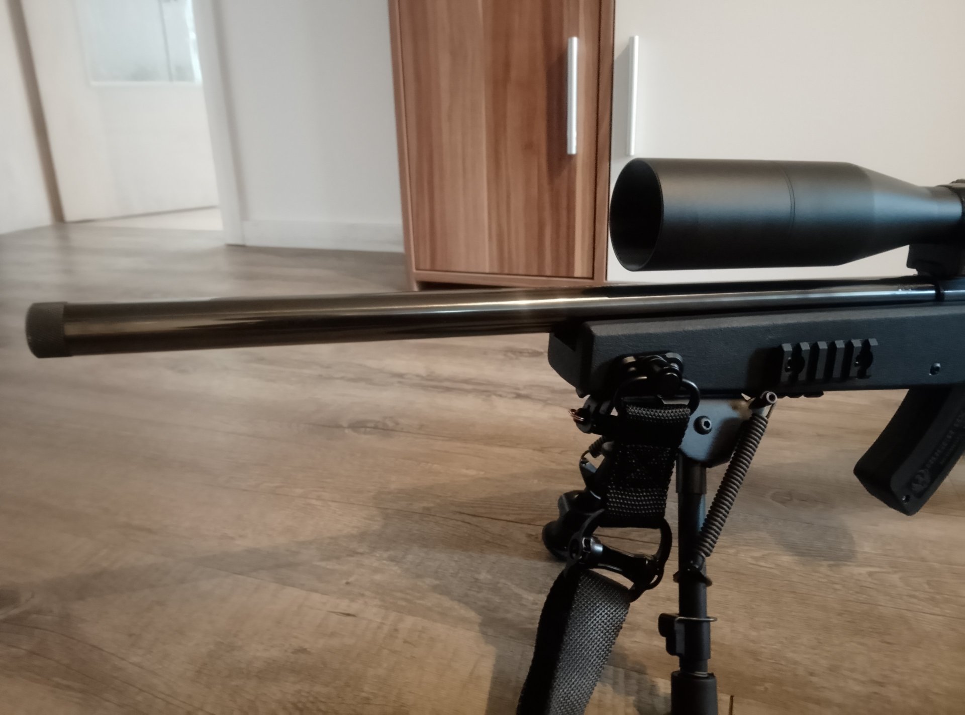 Special Ruger American Rimfire Target .22 lfB AR-Style – Bild 3
