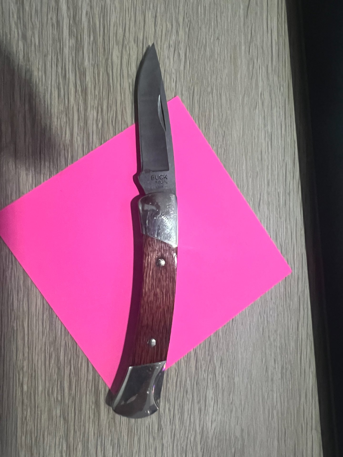 Buck 503 Prince von 2024 – Bild 1