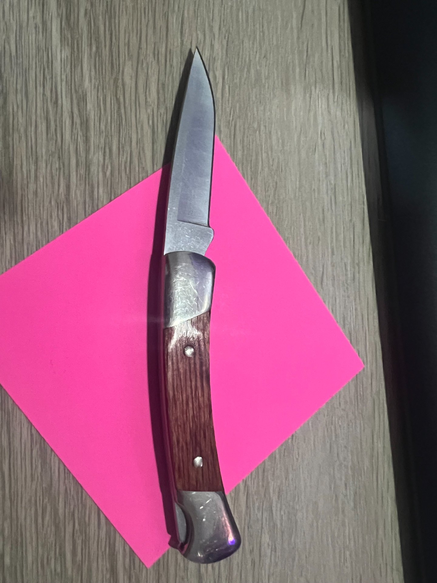 Buck 503 Prince von 2024 – Bild 2