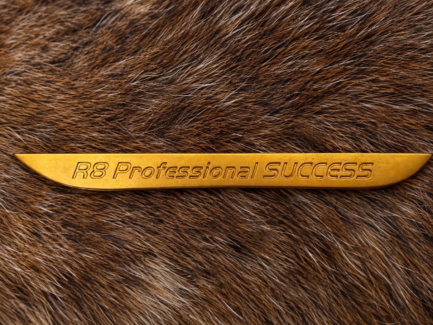 Blaser R8 Spange für Professionell Success in Gold Titannitriert Original TOP – Bild 1
