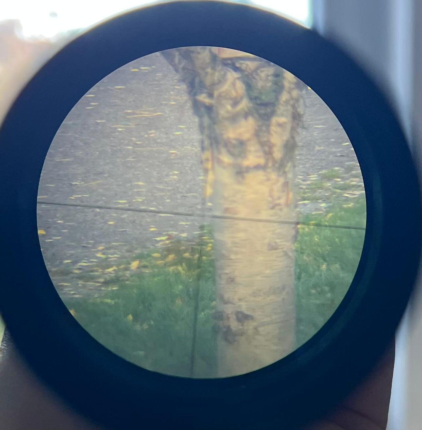 Leupold Vari-X-III 6,5x20 Zielfernrohr – Bild 3