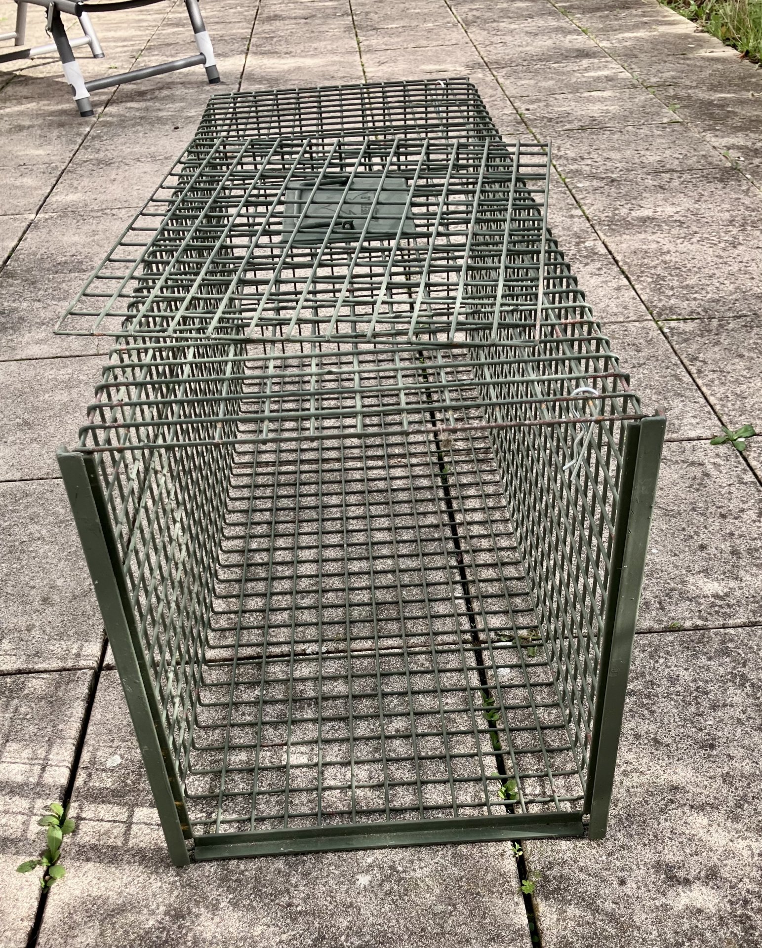 Kieferle Waschbär-Kastenfalle + Abfangkorb – Bild 9