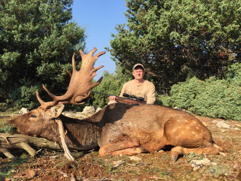 All inclusive Damhirsch Jagd auf der Insel Plavnik – Bild 3