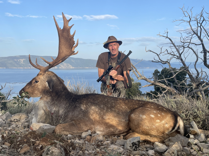 All inclusive Damhirsch Jagd auf der Insel Plavnik – Bild 5