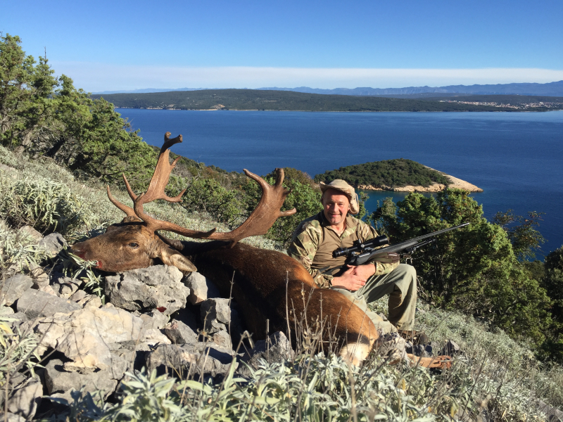 All inclusive Damhirsch Jagd auf der Insel Plavnik – Bild 2