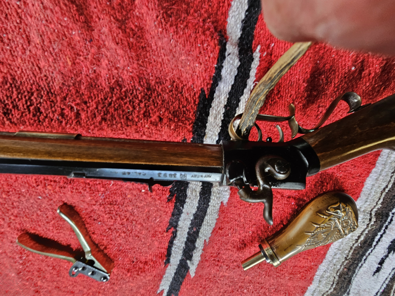 Berdan/Wesson/Gemmer Riffle. Italien cal.45 – Bild 4