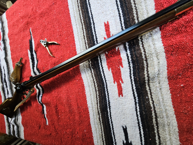 Berdan/Wesson/Gemmer Riffle. Italien cal.45 – Bild 5