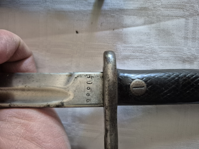Bajonett Spanien M1893/13 – Bild 4