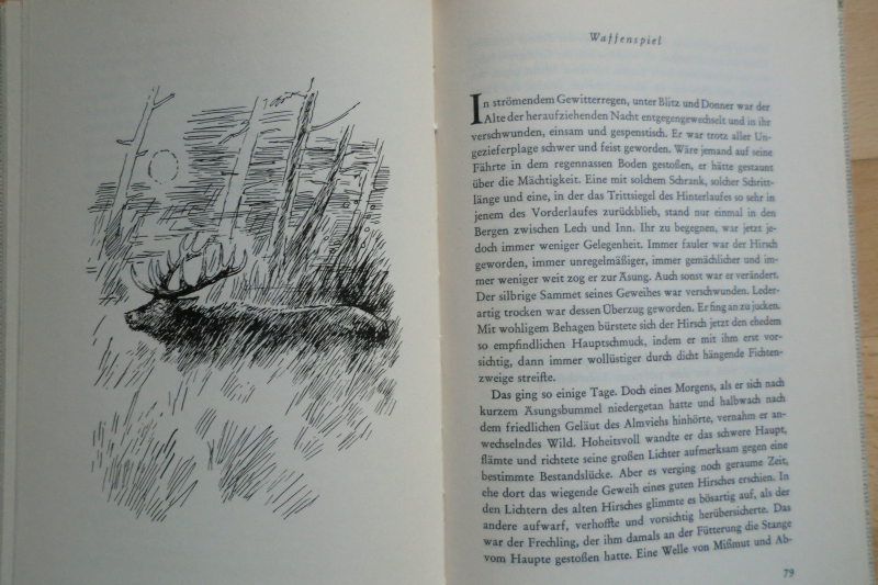 DER ALTE IN DEN ISARBERGEN – imagem 2