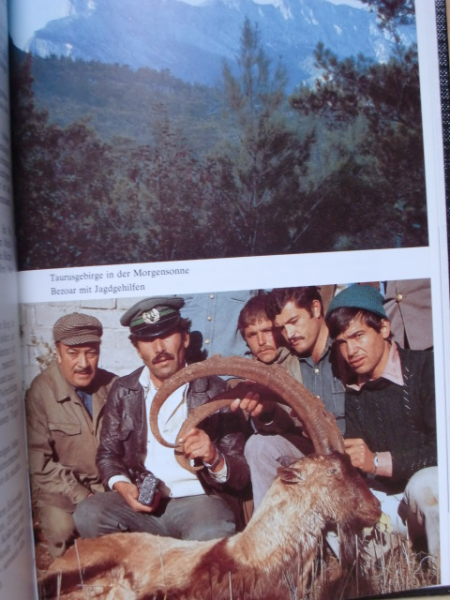 IMMER LOCKT DIE WILDNIS – billede 3